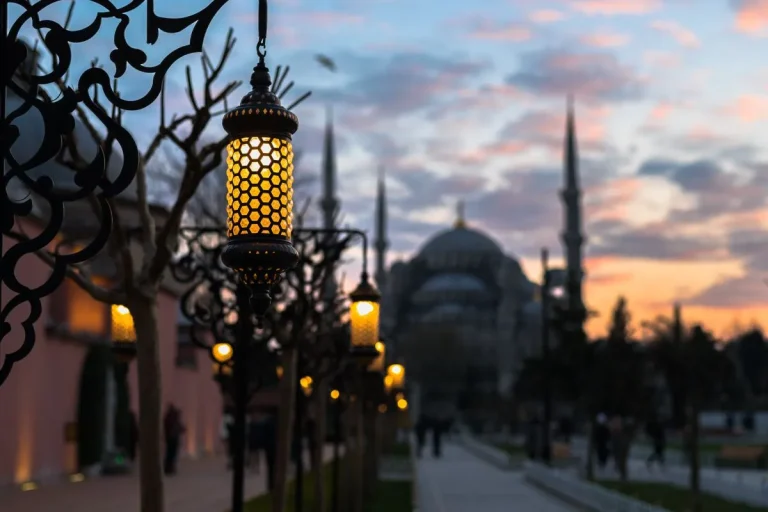 Renunciation of Turkish Citizenship