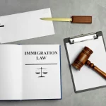 Turkish Immigration Law