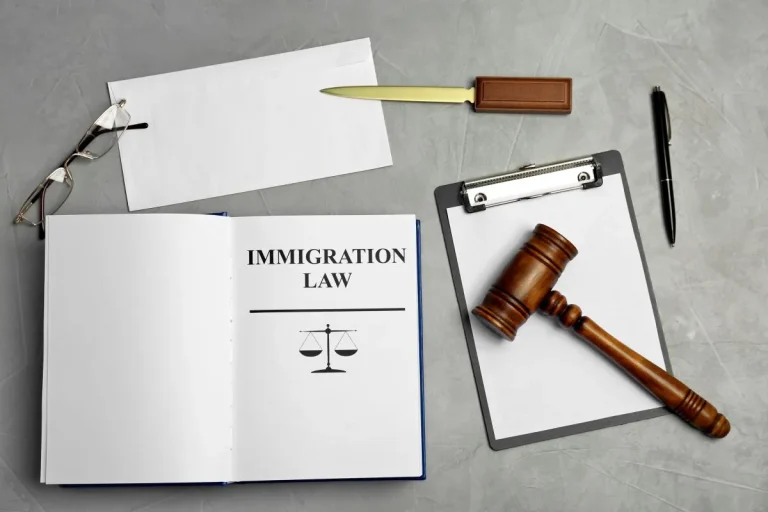 Turkish Immigration Law
